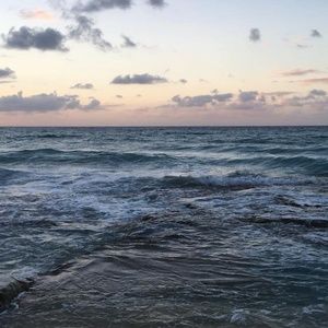 Meet your Posher, Drew